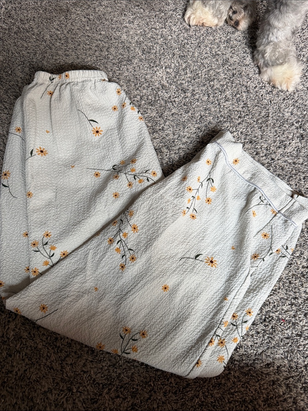 Light Blue Floral Lounge Pants with Yellow Daisies